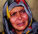 Petition Calls for War  Crime Trials in the Hague